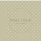 PREORDER - Dainty Cream Dots on Sage - 0437 - Choose Your Base