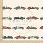 PREORDER - Vintage Racecars - 3106 - Choose Your Base